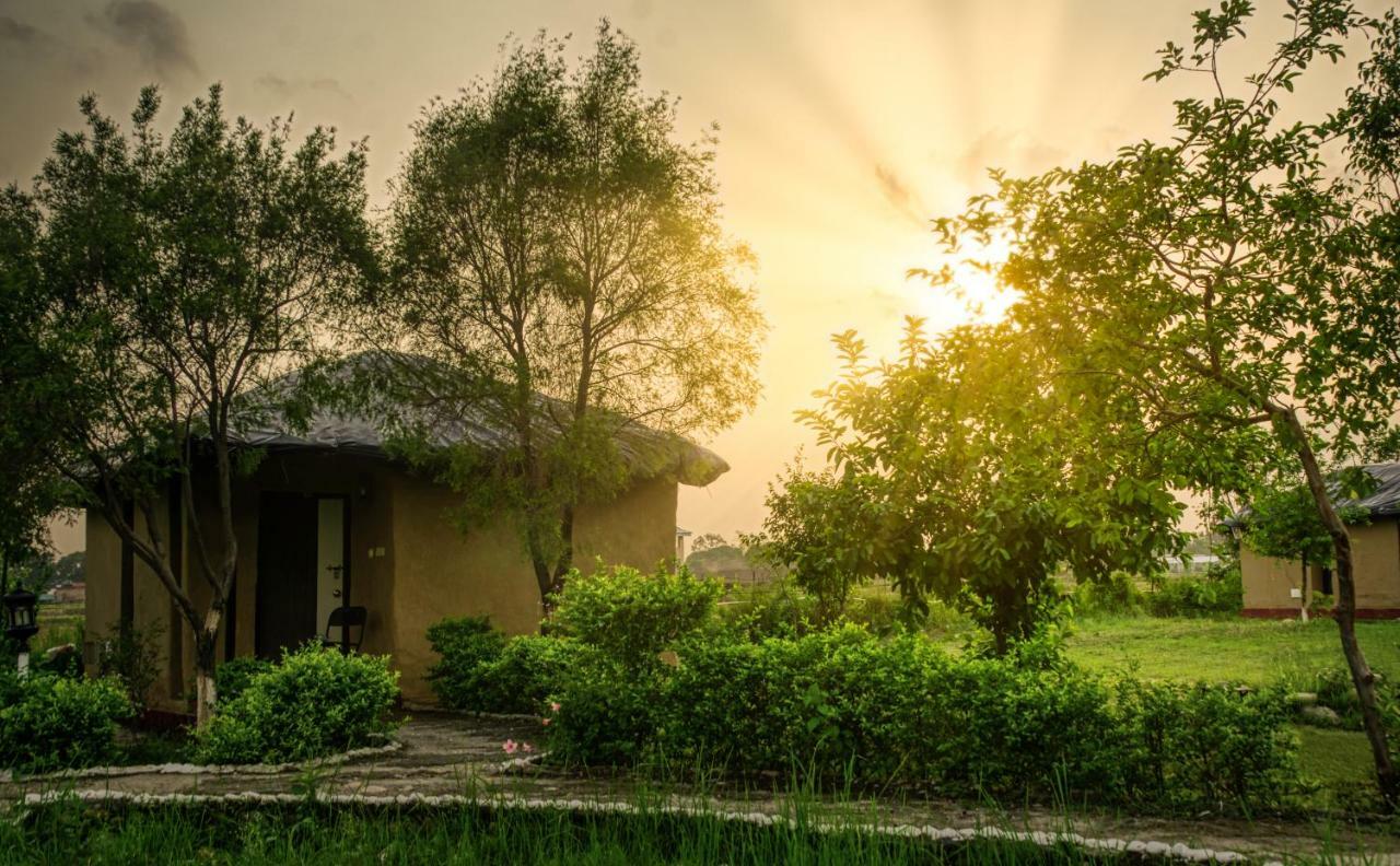 Dhela Tusk And Roar Corbett Resort מראה חיצוני תמונה